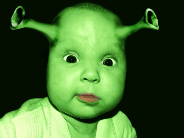 Фелиция Шрек