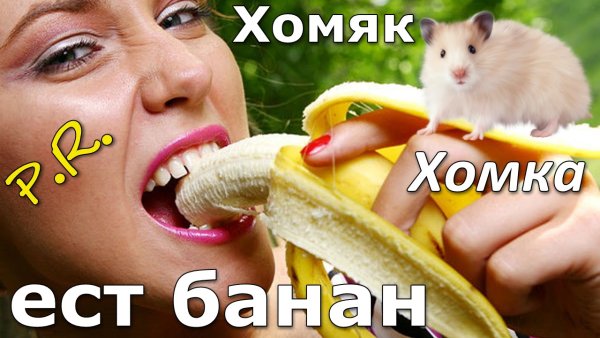 Хомяк и банан