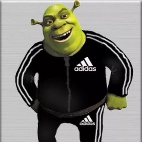 Герои мультиков в адидасе