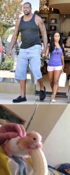 Шакил о Нил с женой