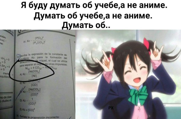 Анимешные цитаты