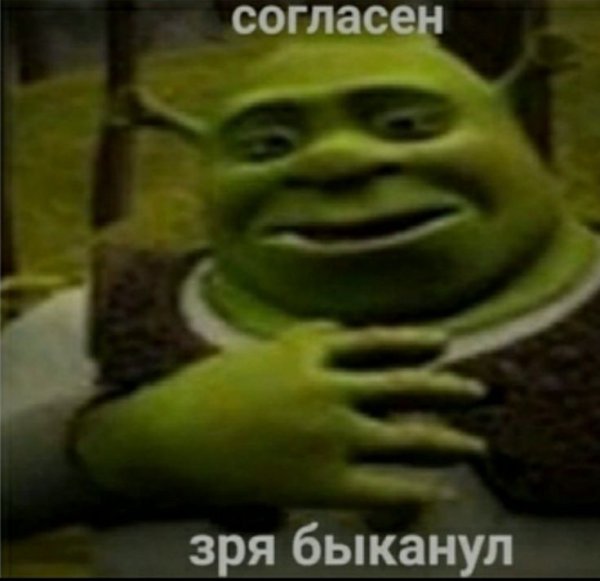 Зря БЫКАНУЛ Шрек