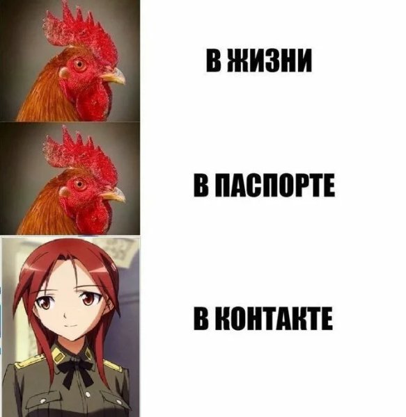 Анимешник петух