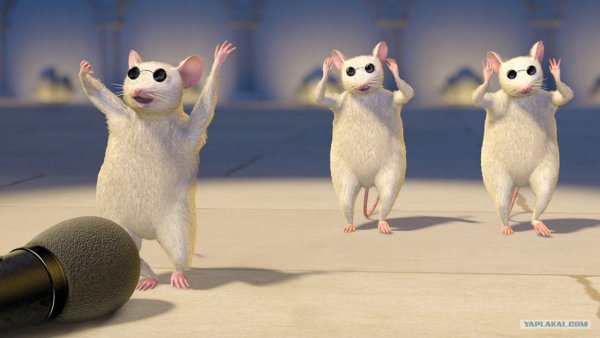 Слепые мыши из Шрека