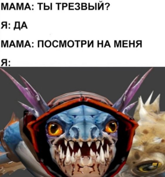 Антон че звал СЛАРК