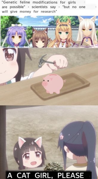 Аниме кошкодевочки