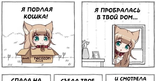 Превращение в кошкодевочку