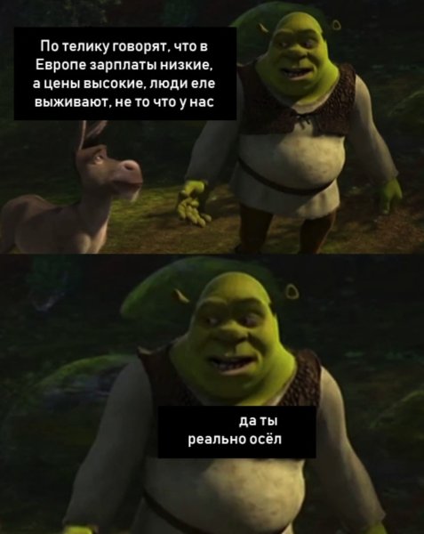 Про шрека с надписями