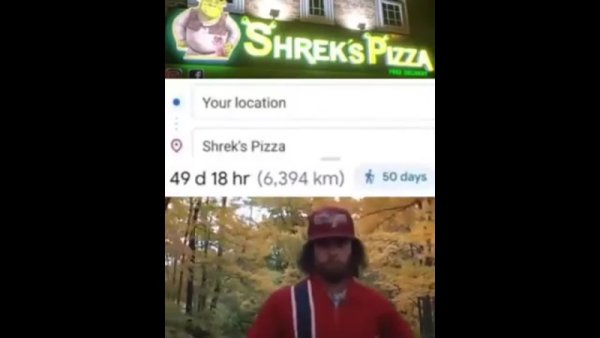 Пиццерия Шрека