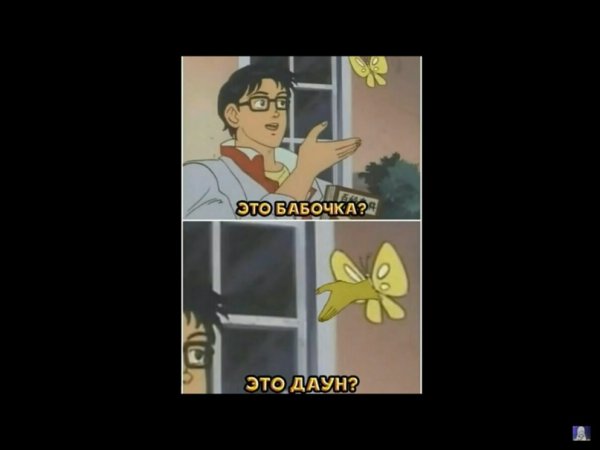 Оригинал мема с бабочкой