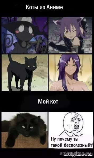 Аниме шутки