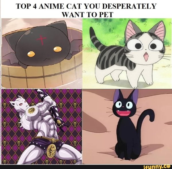 Джоджо кошка