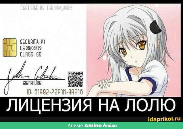 Лицензия на лолек