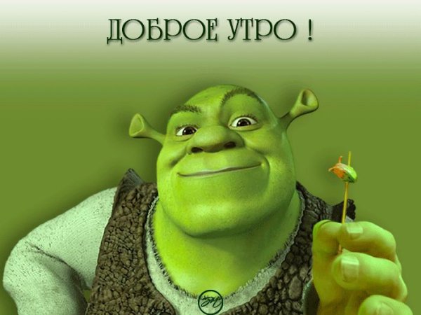 С добрым утром Шрек