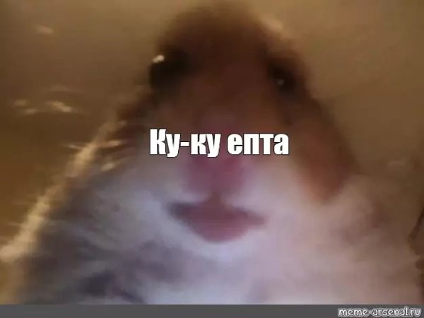 Мемы с хомяками