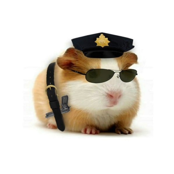 Хомячок в военной форме