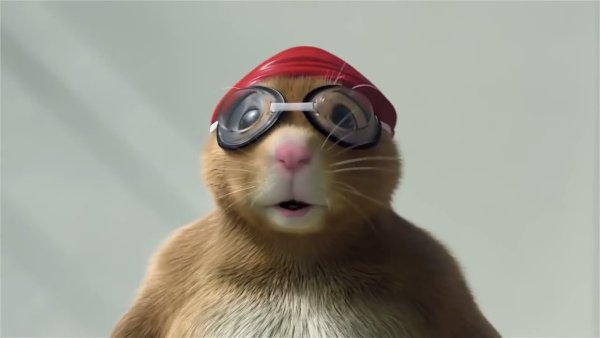 Бурундук в очках