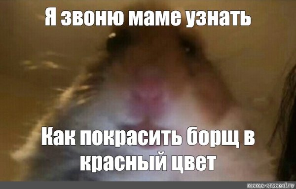 Мемы с хомяками