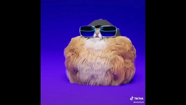 Хомяк флексит