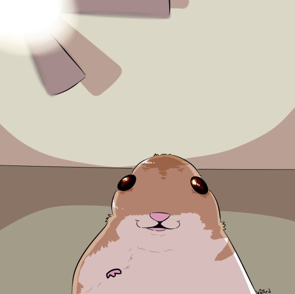 Мемы с хомяками