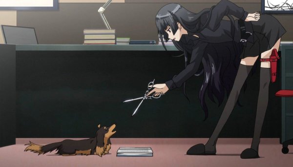 Аниме пес и ножницы такса