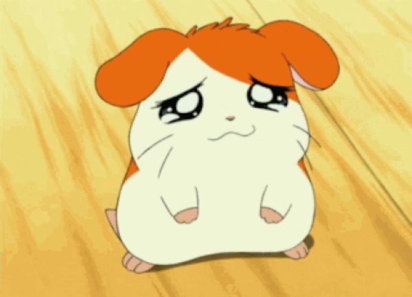 Хомяк из аниме Hamtaro