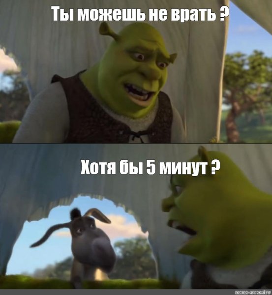 Ты можешь хотя бы пять минут Шрек Мем