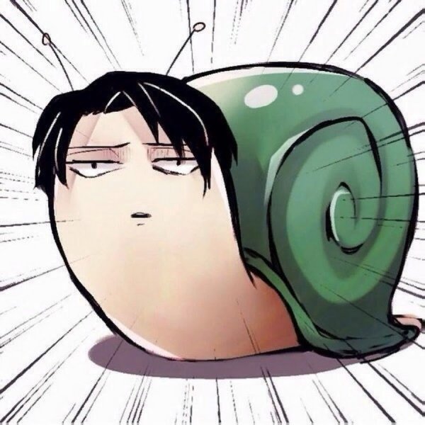 Леви мемное лицо