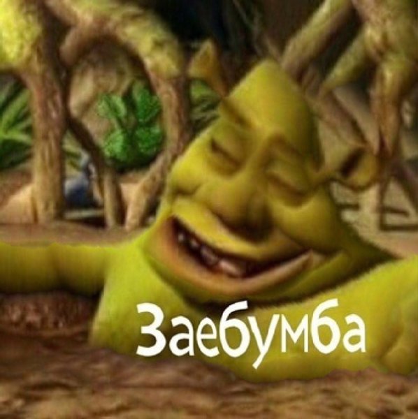 Шрек мемы заебумба