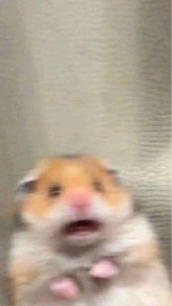 Упоротые хомяки