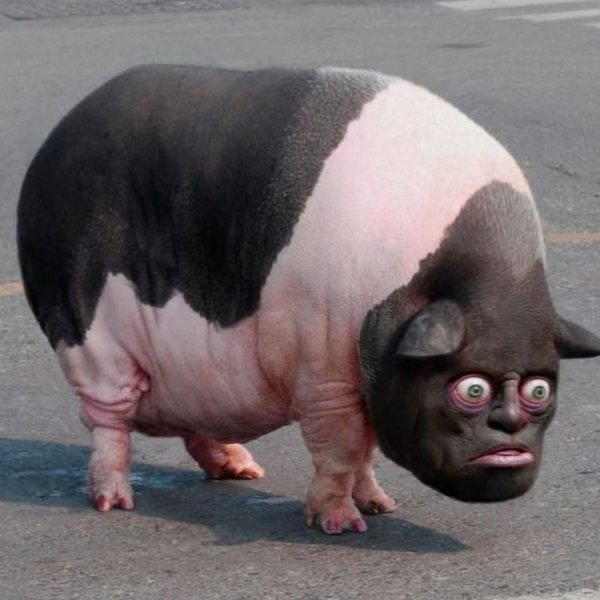 Извините зря БЫКАНУЛ Мем