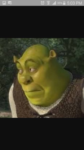 Удивлённый Шрек