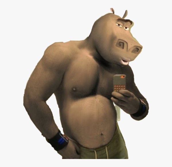 Мадагаскар Бегемот мото мото