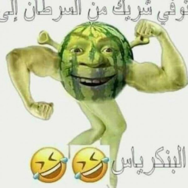 Арбуз Шрек Мем