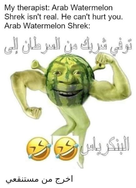 Шрек араб Мем