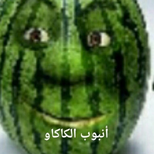 Голова из арбуза