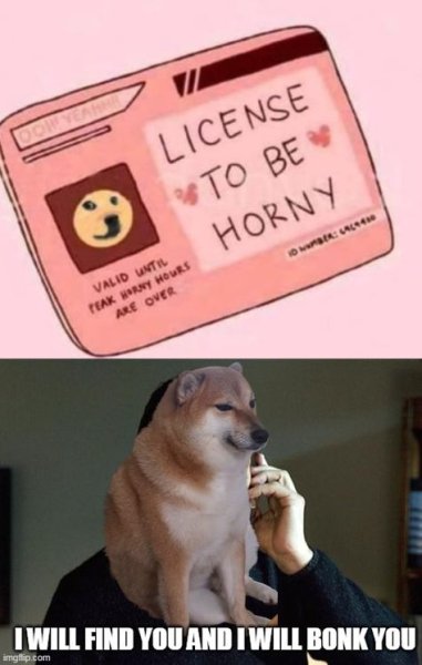 Бонк Мем собака