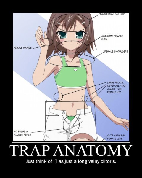 Трапы аниме мемы