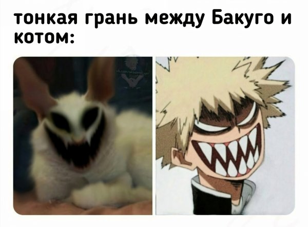 Мемы по моей геройской Академии