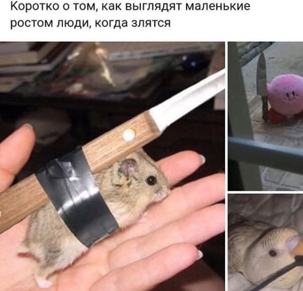 Хомяк с ножом