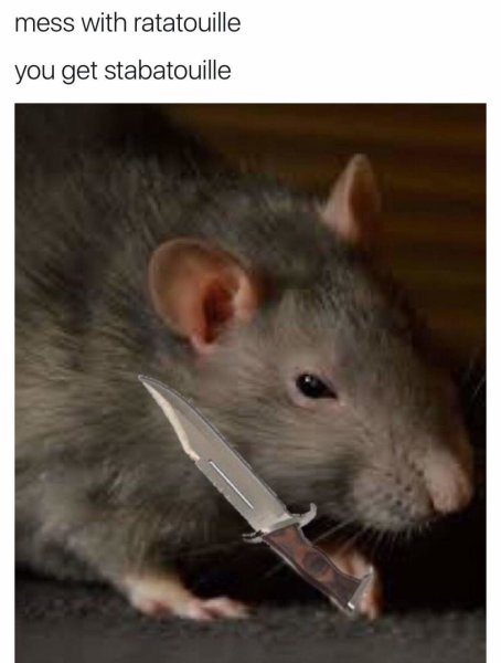 Мемы с крысами