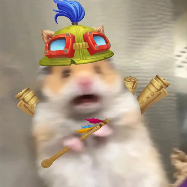 Смешные хомяки