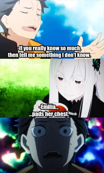 Мемы по Ре Зеро