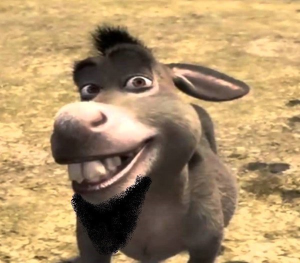 Осел улыбается