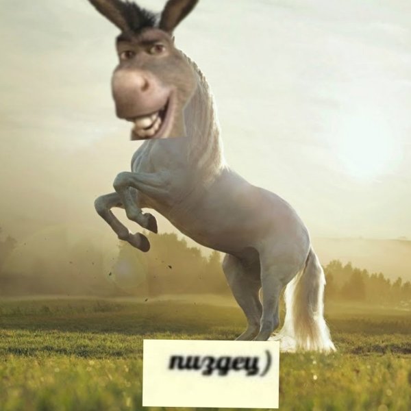Осел Шрек Мем