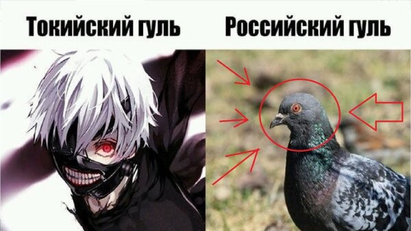 Токийский гуль Канеки голубь