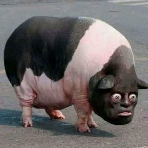 Сорян зря БЫКАНУЛ