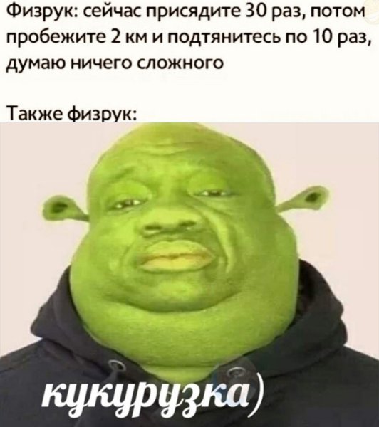 Шрек с лицом человека