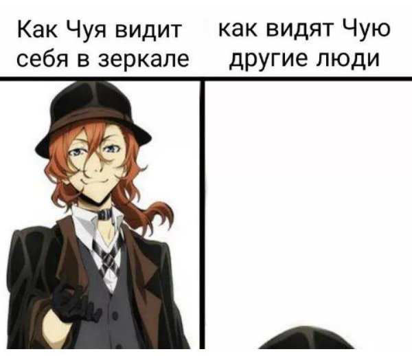 Бродячие псы Чуя характер