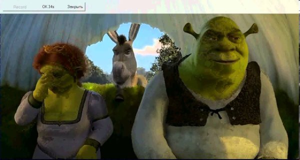 Шрек осел приехали